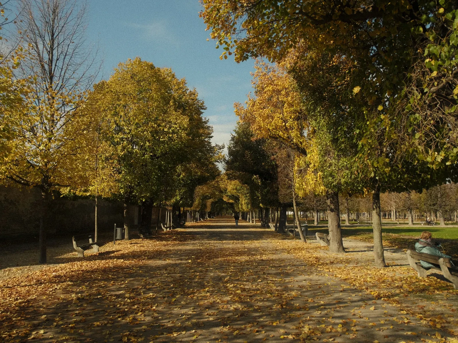 Discover green city oases