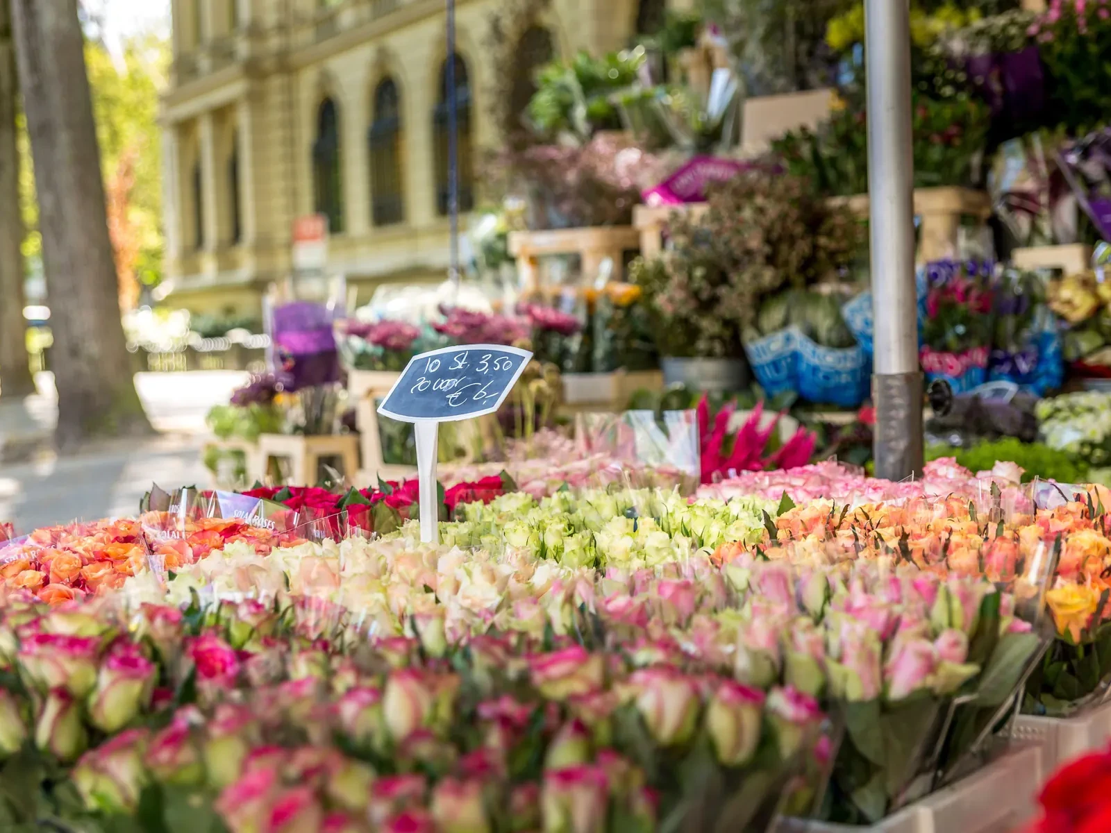 Plan a market visit